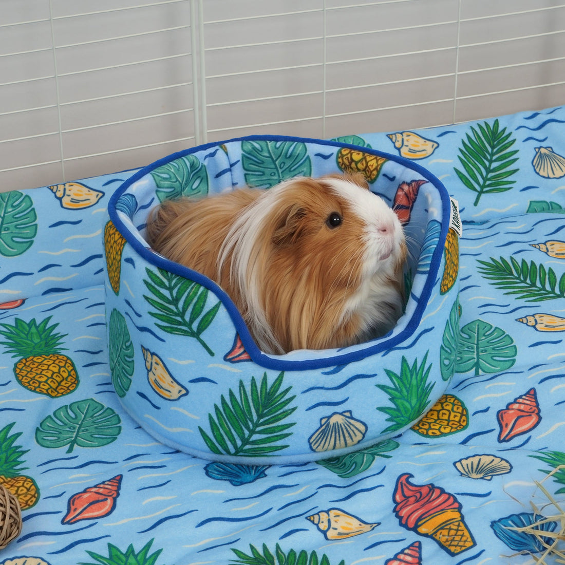 The Cuddle Cup | Coastal Collection Kavee Pets Ltd UK
