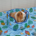 The Cuddle Cup | Coastal Collection Kavee Pets Ltd UK