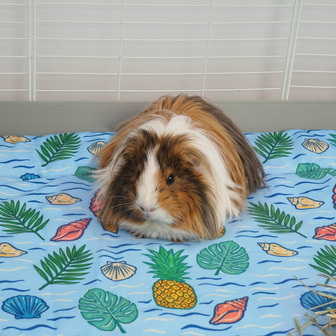 The Fleece Liner | Coastal Collection Kavee Pets Ltd UK