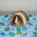 The Fleece Liner | Coastal Collection Kavee Pets Ltd UK