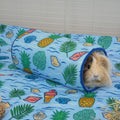 The Tunnel | Coastal Collection Kavee Pets Ltd UK