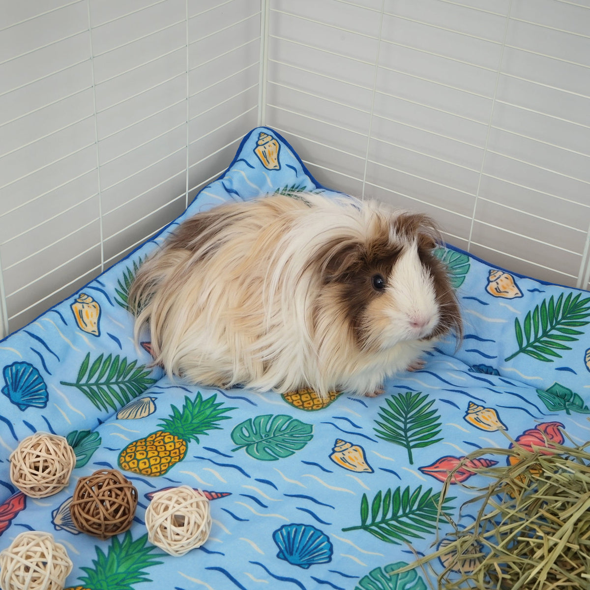 The Liner Twin Set | Coastal Collection Kavee Pets Ltd UK