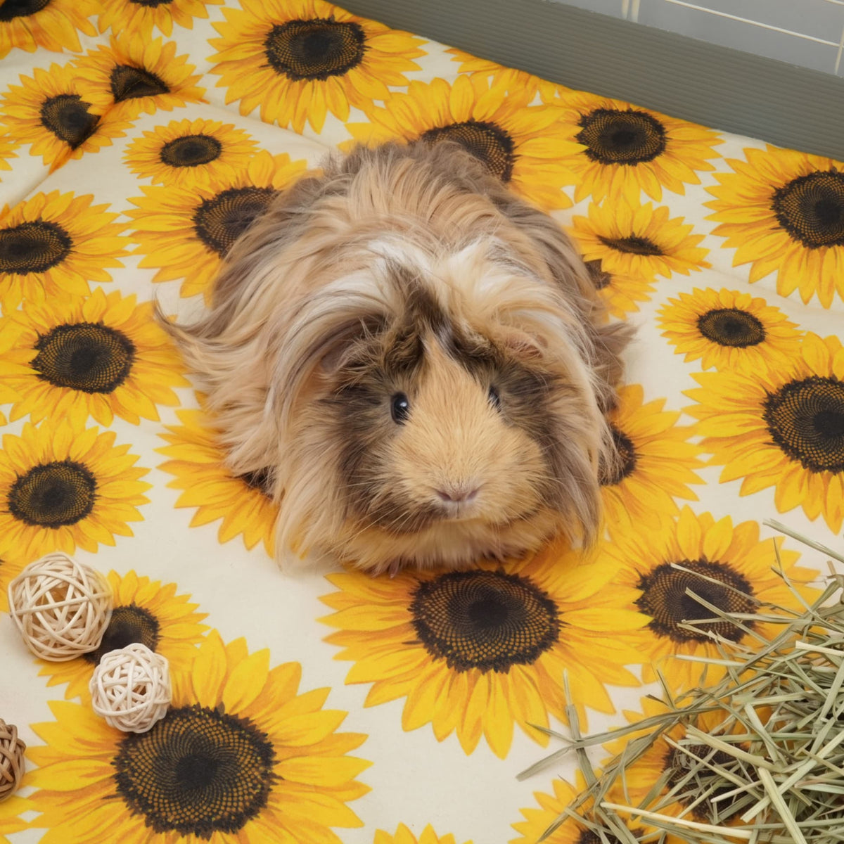 The Liner Twin Set | Sunflower Collection Kavee Pets Ltd UK