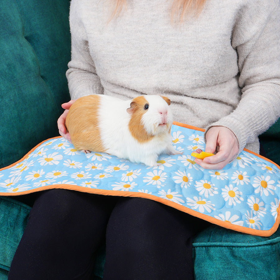 Potty-Proof Pads (Set of 3) | Patterned Collection Kavee Pets Ltd UK