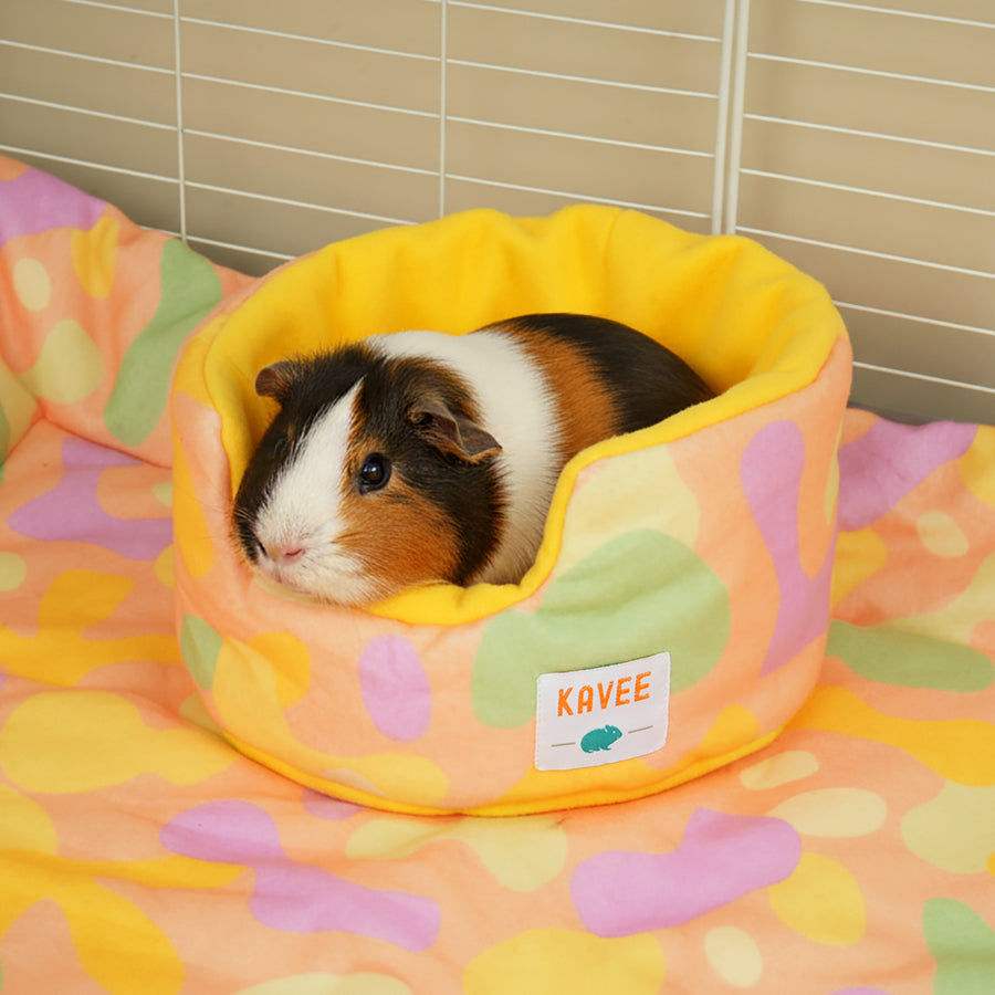 Guinea Pig Cuddle Cup | Pigcasso Collection Kavee Pets Ltd UK