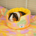 Guinea Pig Cuddle Cup | Pigcasso Collection Kavee Pets Ltd UK