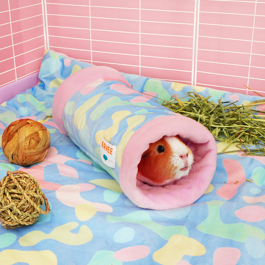 Guinea Pig Tunnel | Pigcasso Kavee Pets Ltd UK
