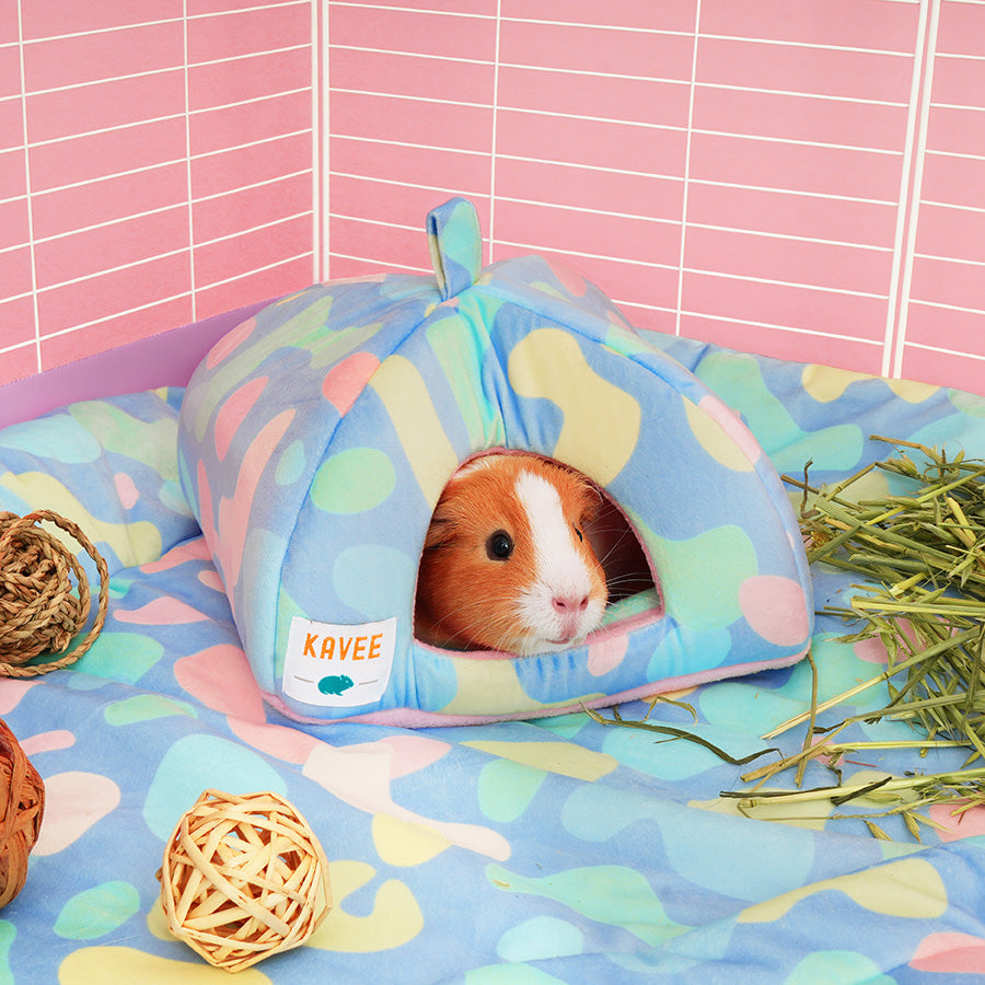 Guinea Pig Hide | Pigcasso Kavee Pets Ltd UK