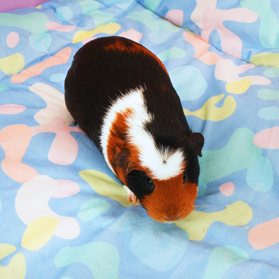Plush Fleece Liners for Guinea Pigs | Pigcasso Collection Kavee Pets Ltd UK
