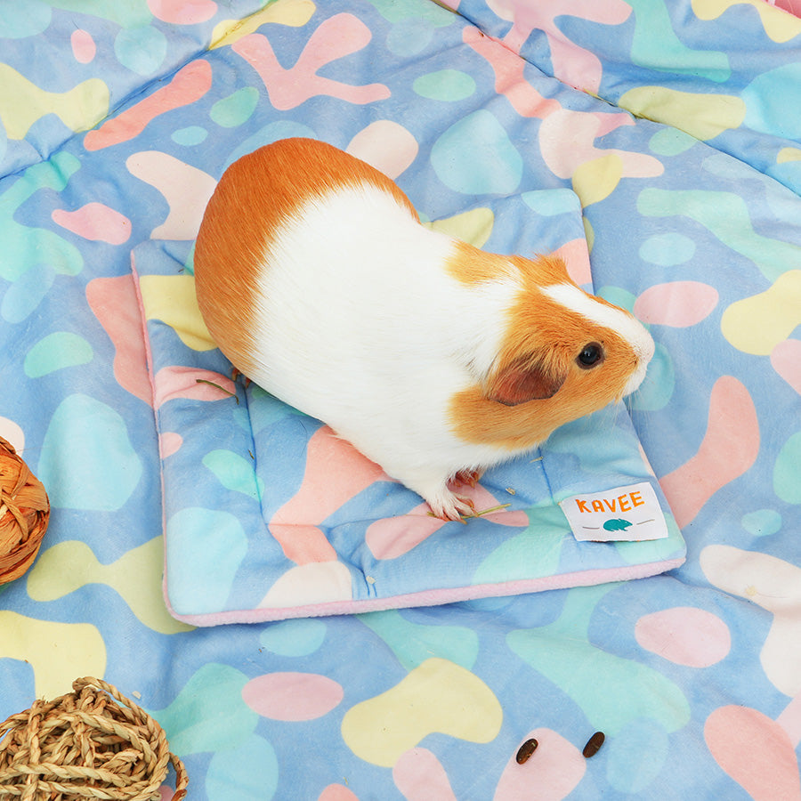 Pee Pad for Guinea Pigs | Pigcasso Kavee Pets Ltd UK