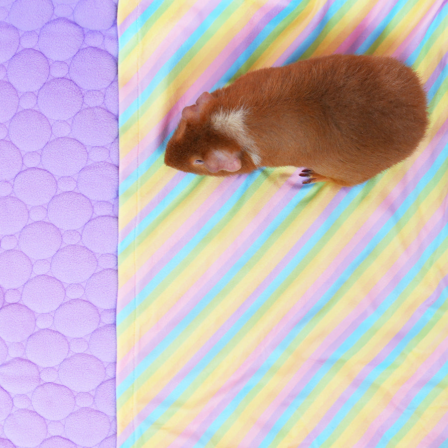Pocket Fleece Liners for Guinea Pigs | Rainbow Collection Kavee Pets Ltd UK