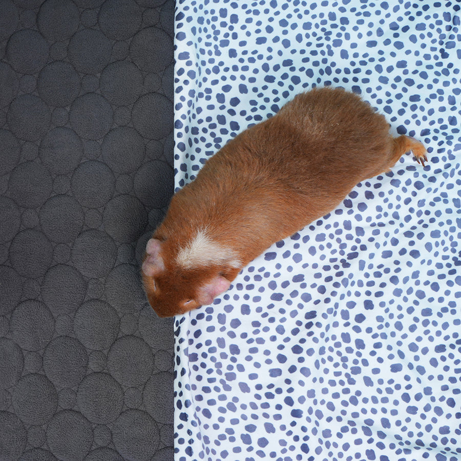 Pocket Fleece Liner for Guinea Pigs | Dalmatian Collection Kavee Pets Ltd UK