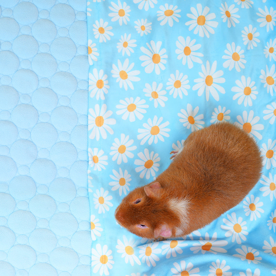 Pocket Fleece Liner for Guinea Pigs | Daisy Collection Kavee Pets Ltd UK