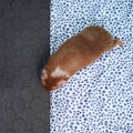Set of 3 Pocket Fleece Liners for Guinea Pigs | Bundle Kavee Pets Ltd UK