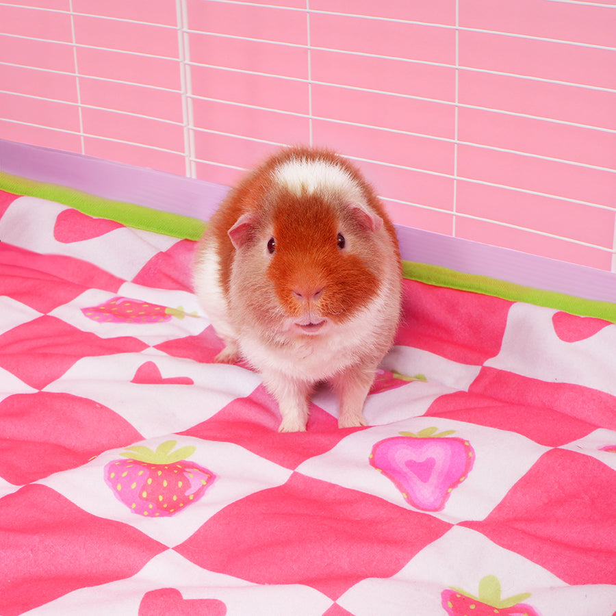 Plush Fleece Liner for Guinea Pigs | Strawberry Kavee Pets Ltd UK