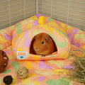 Guinea Pig Hide | Pigcasso Collection Kavee Pets Ltd UK
