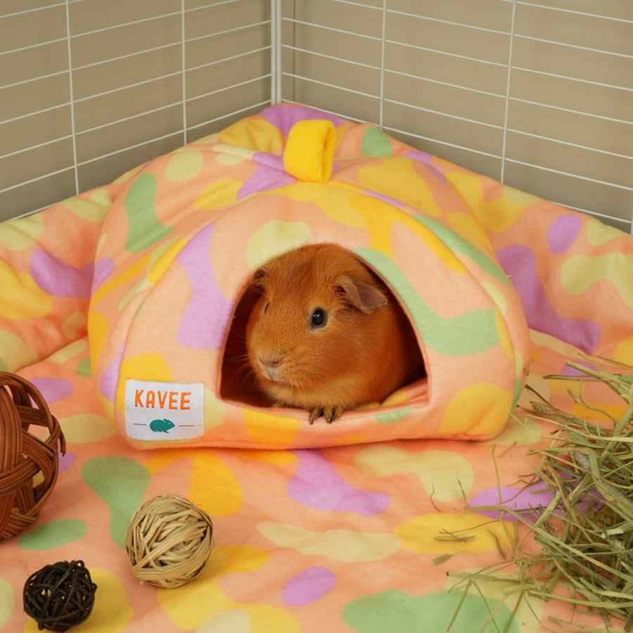 Guinea Pig Hide | Pigcasso Collection Kavee Pets Ltd UK