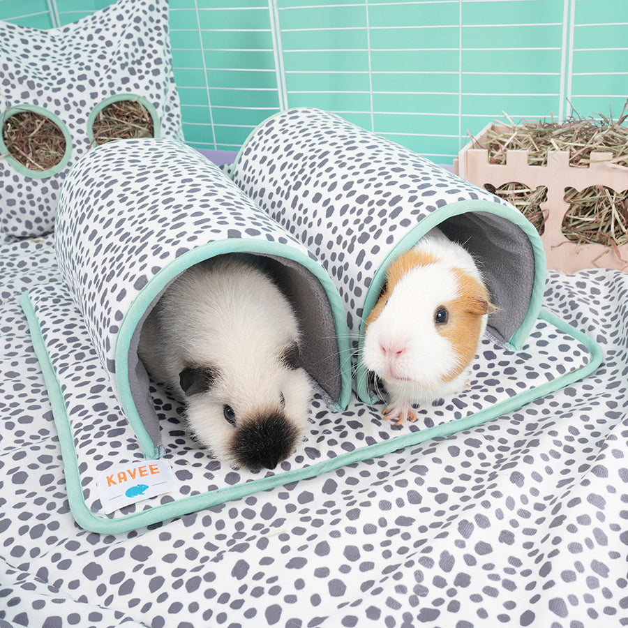 Guinea Pig Double Tunnel | Dreamy Dalmatian Kavee Pets Ltd UK