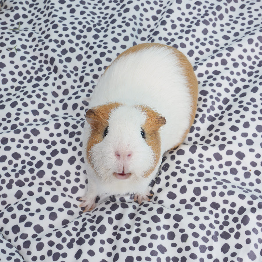Plush Fleece Liners for Guinea Pigs | Dalmation Collection Kavee Pets Ltd UK