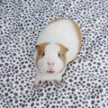 Plush Fleece Liners for Guinea Pigs | Dalmation Collection Kavee Pets Ltd UK