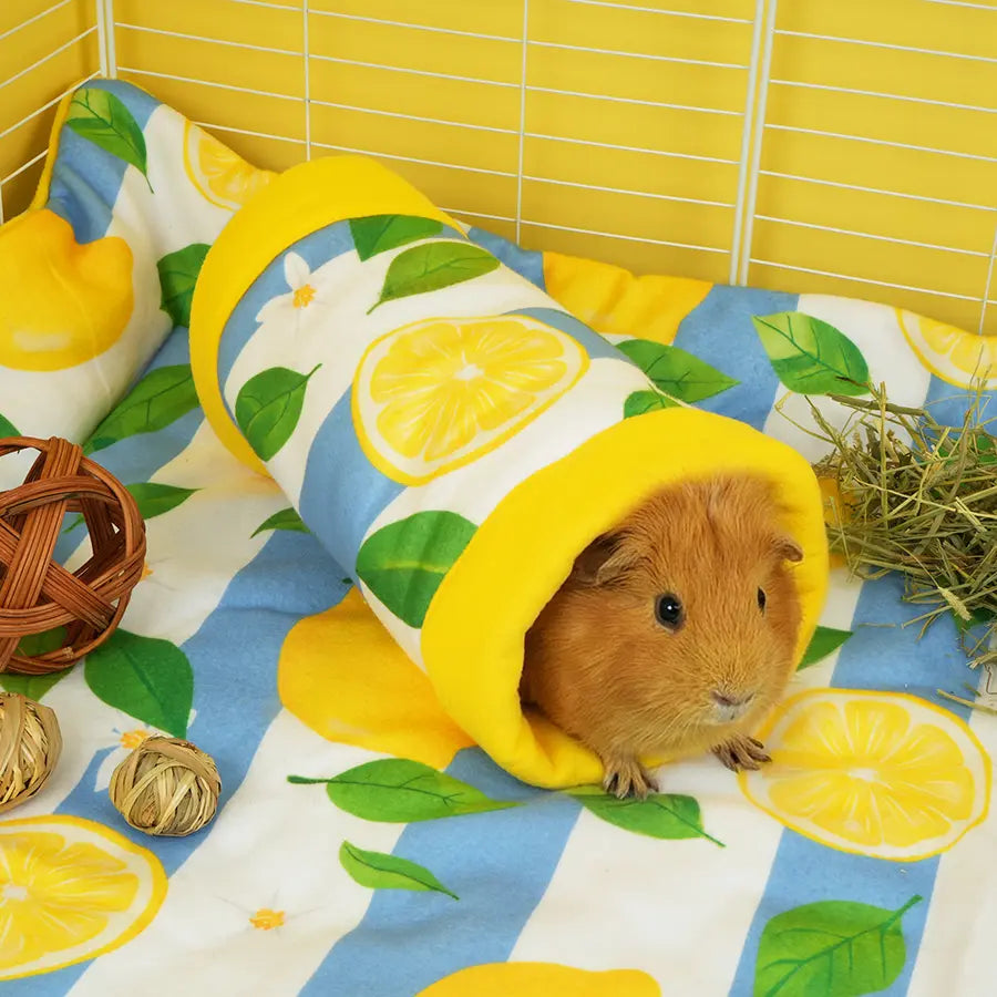 Guinea Pig Tunnel | Amalfi Collection Kavee Pets Ltd UK