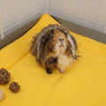 The Liner Twin Set | Sunflower Collection Kavee Pets Ltd UK