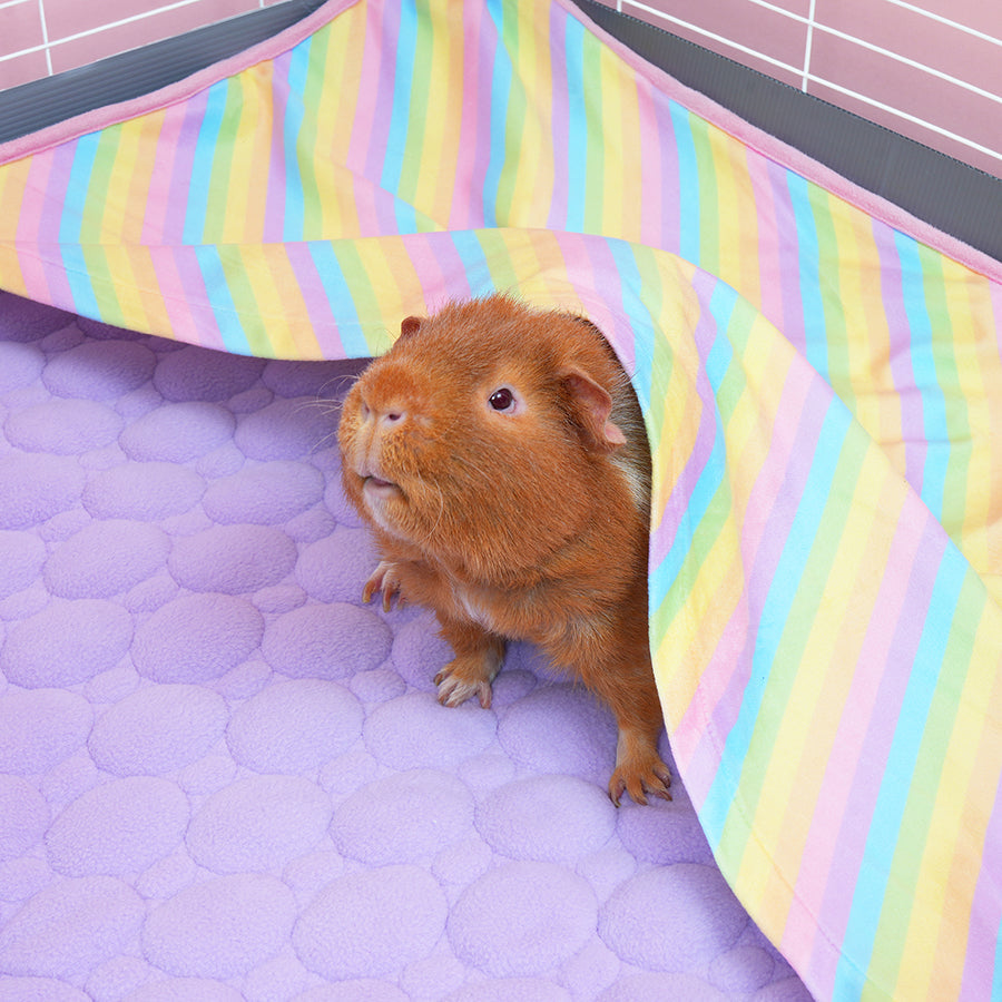 Pocket Fleece Liners for Guinea Pigs | Rainbow Collection Kavee Pets Ltd UK
