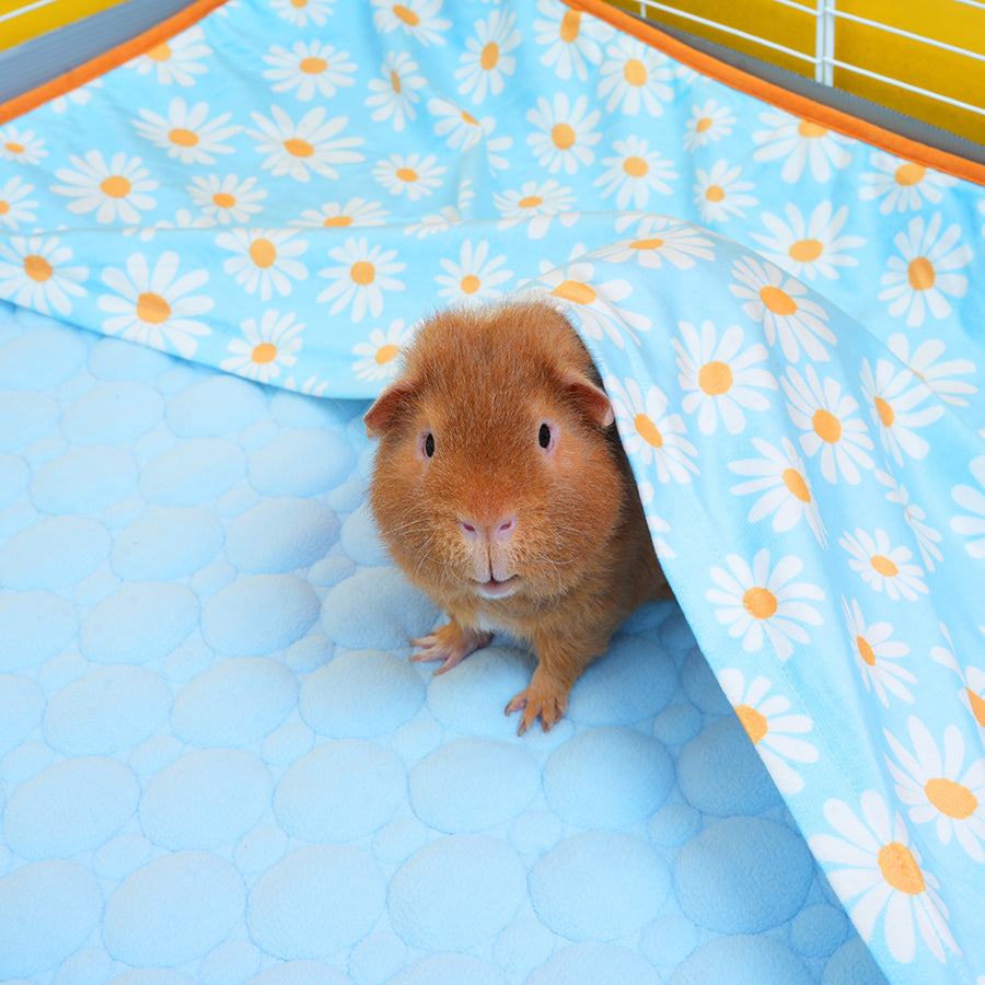 Set of 2 Pocket Fleece Liners for Guinea Pigs | Daisy Bundle Kavee Pets Ltd UK