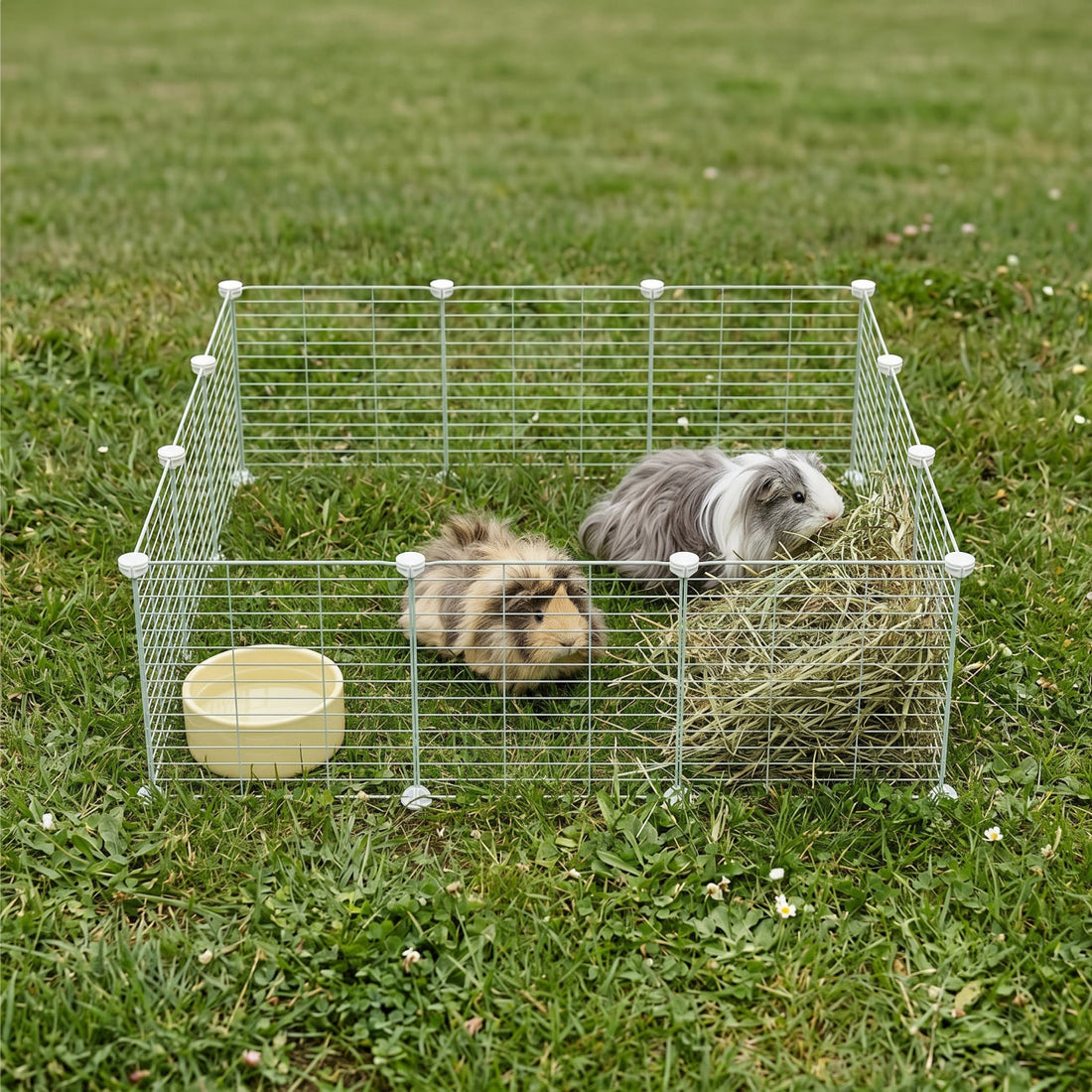 Outdoor C&C Run for Guinea Pigs Kavee Pets Ltd UK