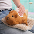 Wipes for Guinea Pigs and Rabbits Kavee Pets Ltd UK