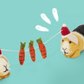 Guinea Pig Christmas Decorations | 4 Guinea Pig Ornaments Kavee C&C cages