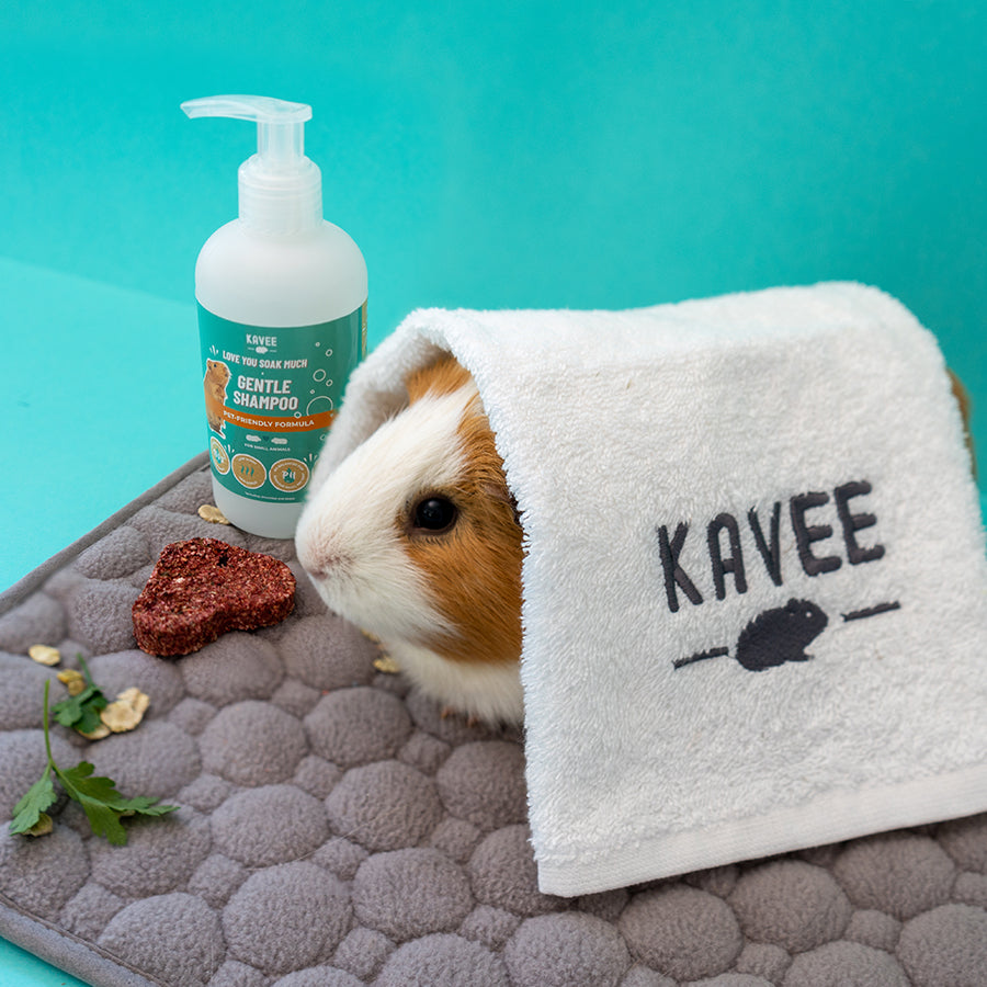 Guinea Pig and Rabbit Bathing Set UK Kavee