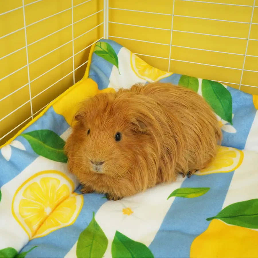 Two In One Plush Fleece Liner for Guinea Pigs | Amalfi Collection Kavee Pets Ltd UK