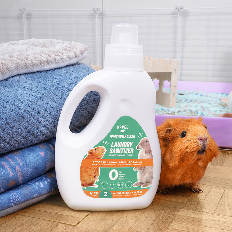 Pet Safe Laundry Sanitiser for Guinea Pig Accessories Kavee Pets Ltd UK