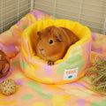 Guinea Pig Cuddle Cup | Pigcasso Collection Kavee Pets Ltd UK