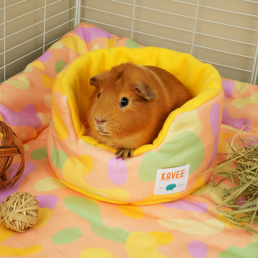 Guinea Pig Cuddle Cup | Pigcasso Collection Kavee Pets Ltd UK