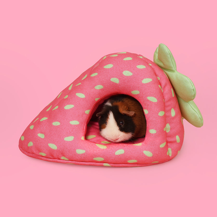 Hide for Guinea Pigs | Strawberry Kavee-UK