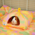 Guinea Pig Hide | Pigcasso Collection Kavee Pets Ltd UK