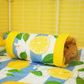 Guinea Pig Tunnel | Amalfi Collection Kavee Pets Ltd UK