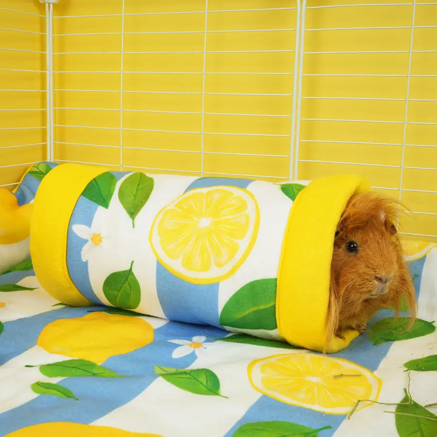 Guinea Pig Tunnel | Amalfi Collection Kavee Pets Ltd UK