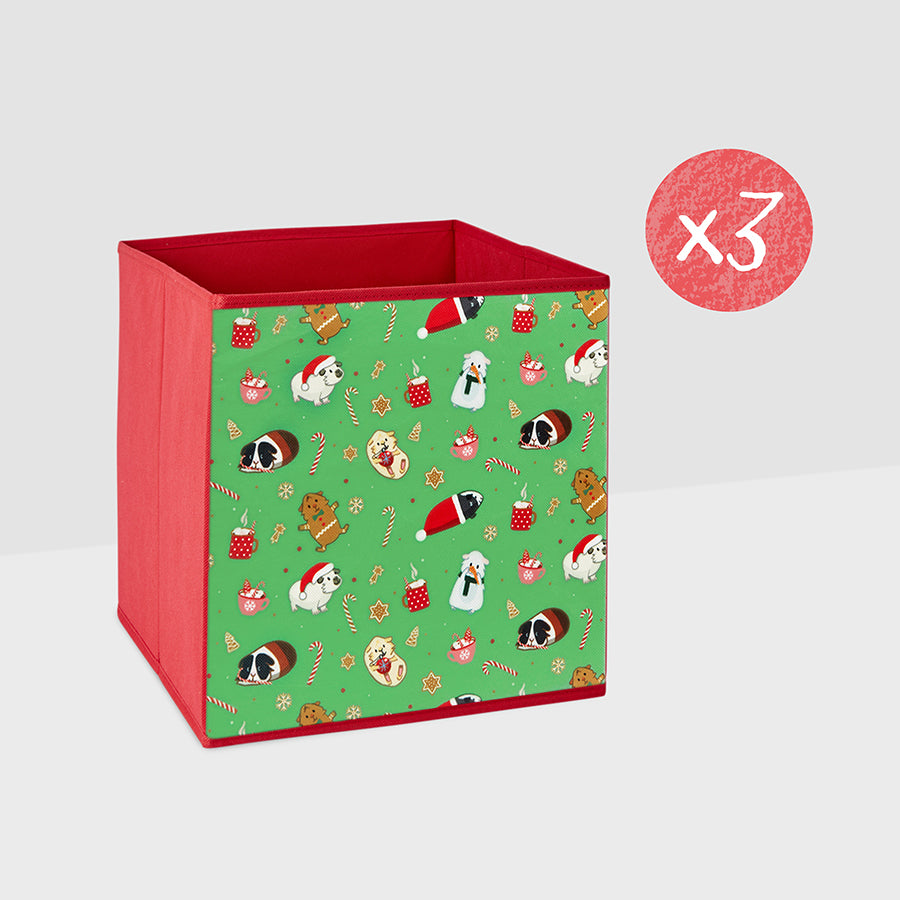Storage Box | Christmas Kavee C&C cages
