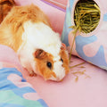 Plush Fleece Liners for Guinea Pigs | Pigcasso Collection Kavee Pets Ltd UK