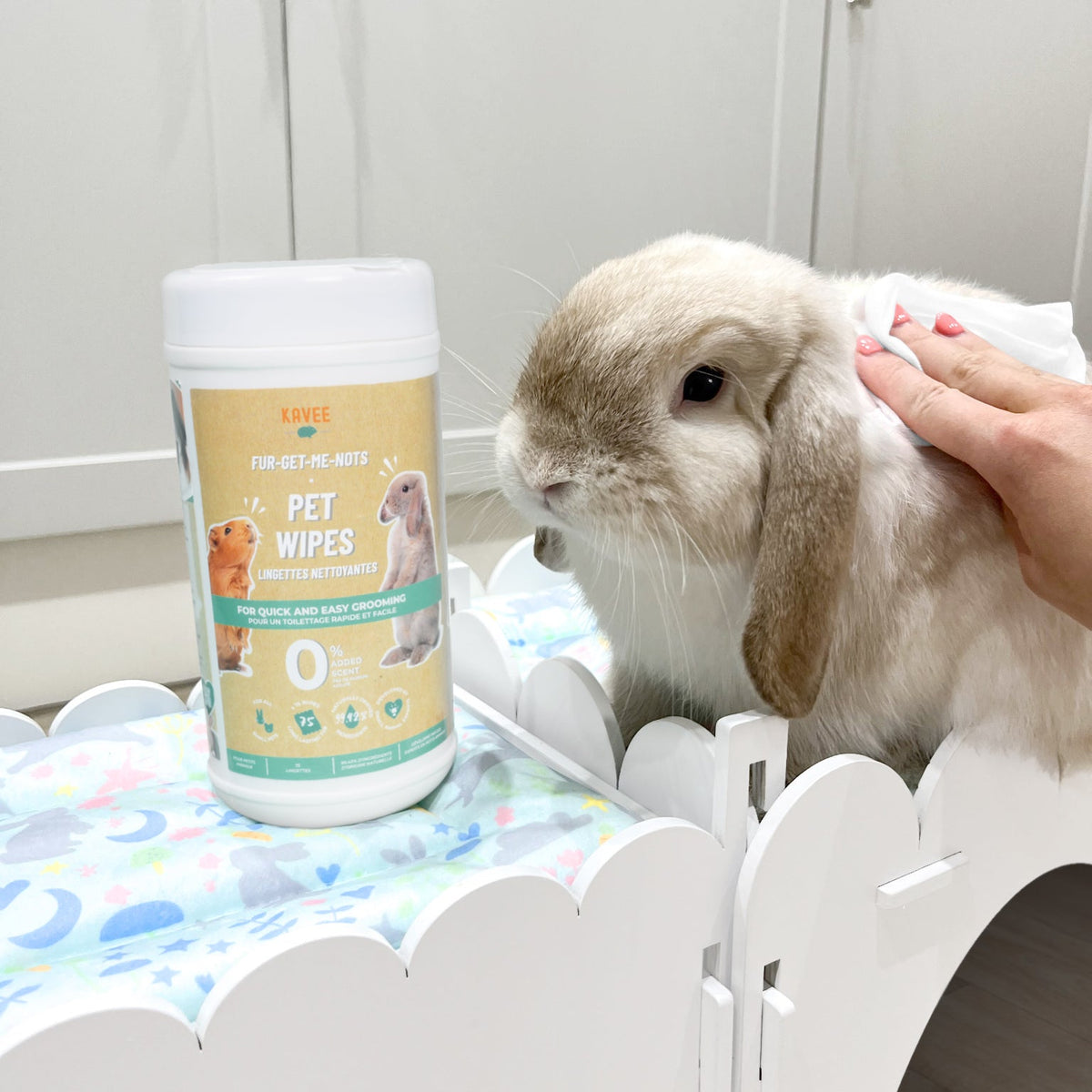 Wipes for Guinea Pigs and Rabbits Kavee Pets Ltd UK