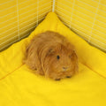 Two In One Plush Fleece Liner for Guinea Pigs | Amalfi Collection Kavee Pets Ltd UK