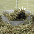 Timothy Hay for Guinea Pigs Kavee Pets Ltd UK