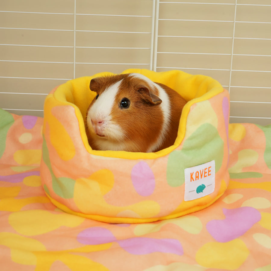 Guinea Pig Cuddle Cup | Pigcasso Collection Kavee Pets Ltd UK
