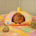 Guinea Pig Hide | Pigcasso Collection Kavee Pets Ltd UK