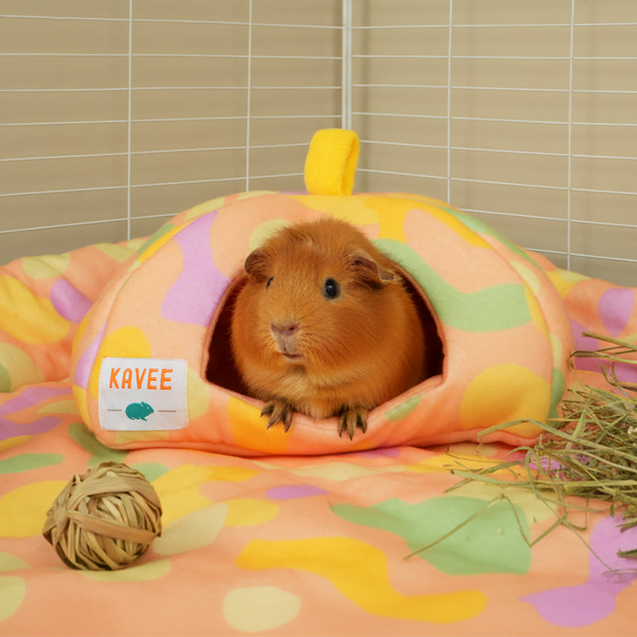 Guinea Pig Hide | Pigcasso Collection Kavee Pets Ltd UK