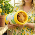Guinea Pig Tunnel | Amalfi Collection Kavee Pets Ltd UK