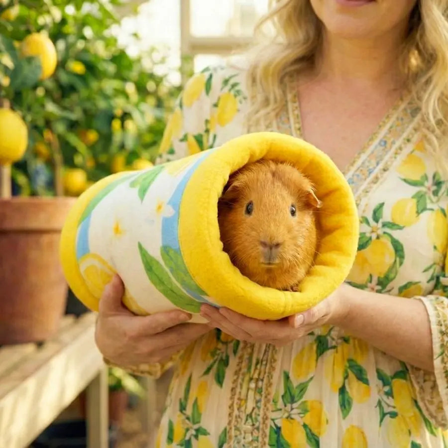 Guinea Pig Tunnel | Amalfi Collection Kavee Pets Ltd UK